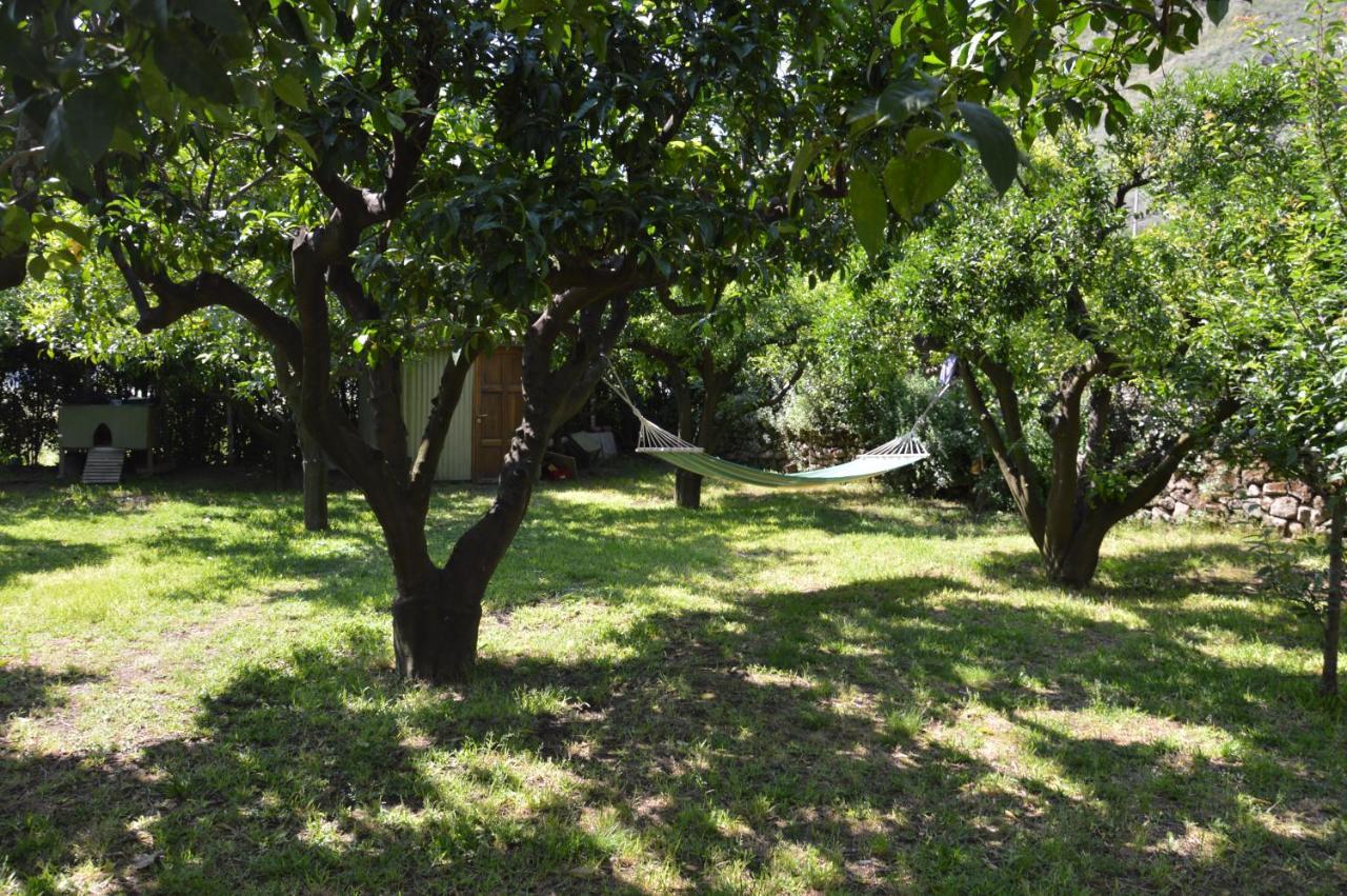 La Casa Di Barry Bed and Breakfast Pozzuoli Buitenkant foto